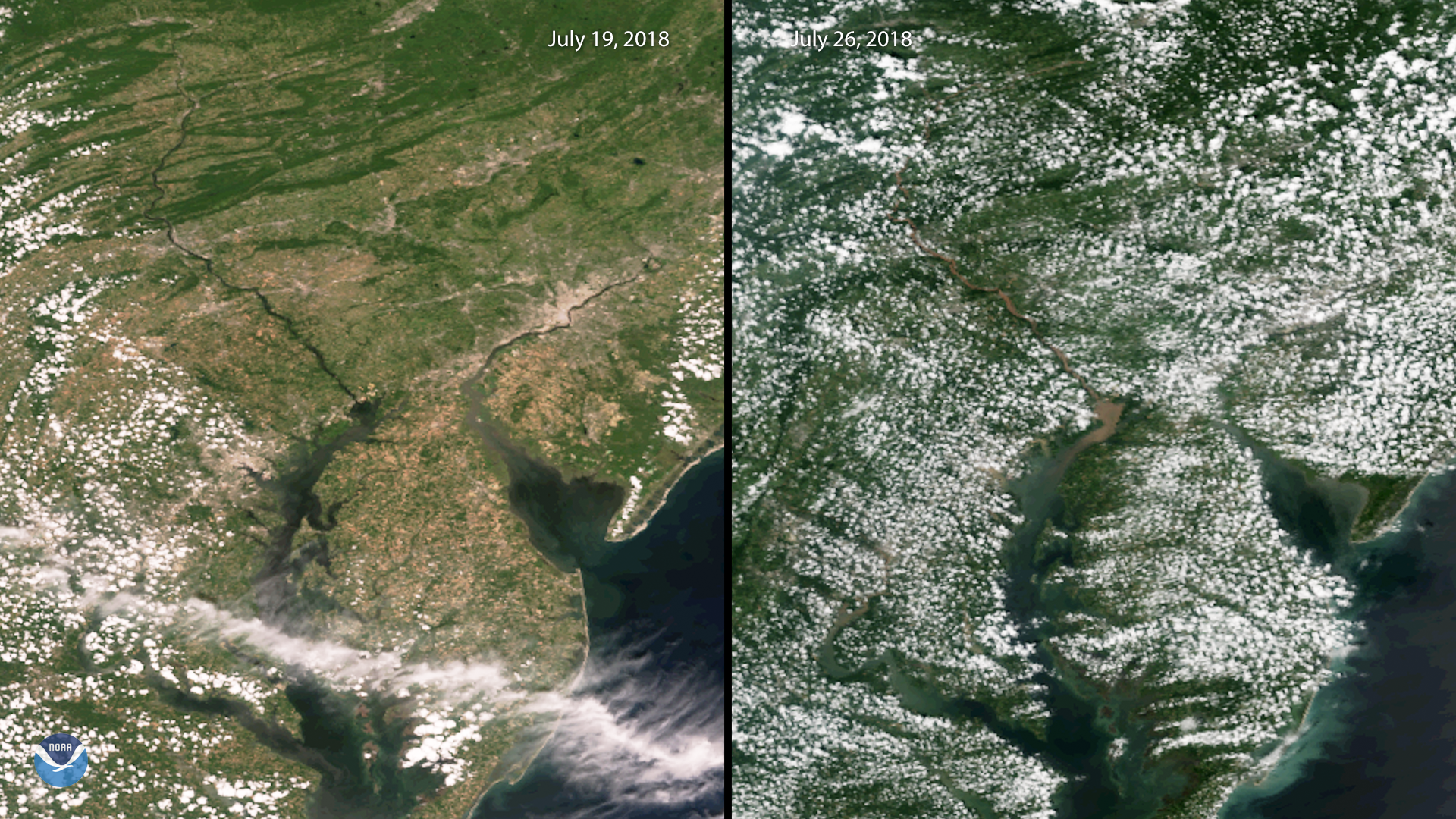 A side-by-side comparison of two images of the Chesapeake Bay, taken two weeks apart in July 2018. In the first, the Bay is deep blue and clear of sediment. In the second image, the mouth of the Bay and the river that feeds it are opaque brown, indicating the presence of large amounts of sediment.
