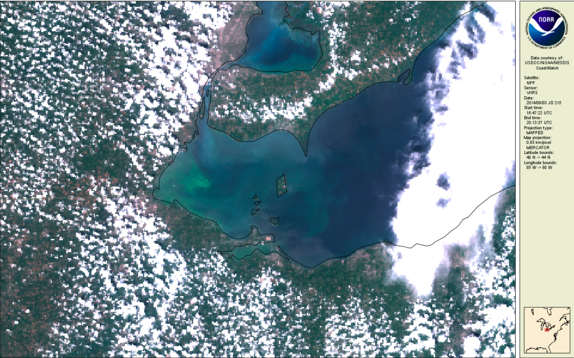 A true-color image of Lake Erie shows swirls of green in the water, indicating a harmful algae bloom.