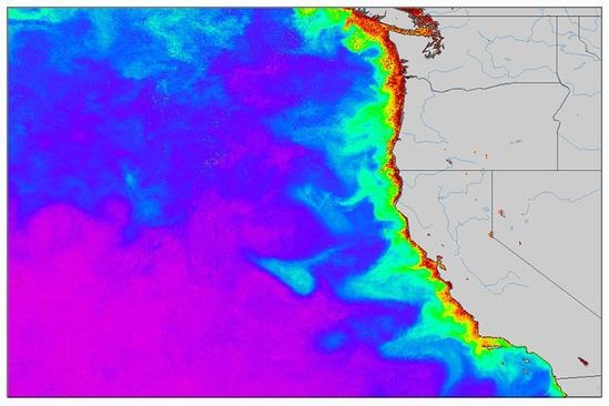 A false-color map of the West Coast of the U.S. shows amounts of chlorophyll in the coastal waterways. The highest levels of chlorophyll, indicated in red, cluster close to the coast, decreasing to lower levels in purple in the Pacific.