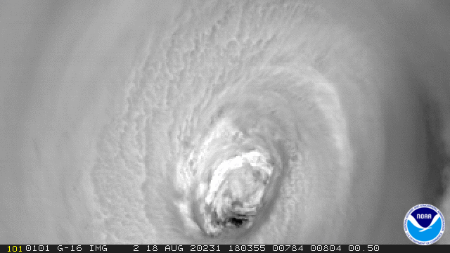Hurricane Genevieve’s prominent eye in GOES West imagery