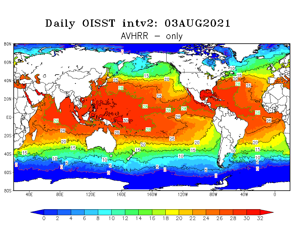 Daily OISST map from August 3, 2021. Colors range from blue to red. 