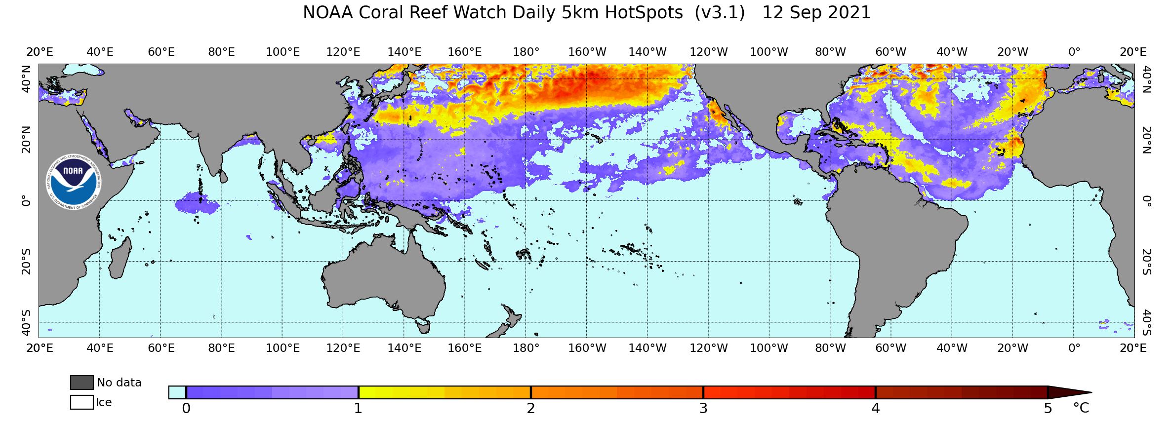 New Coral Reef Watch Director Talks Climate and Corals