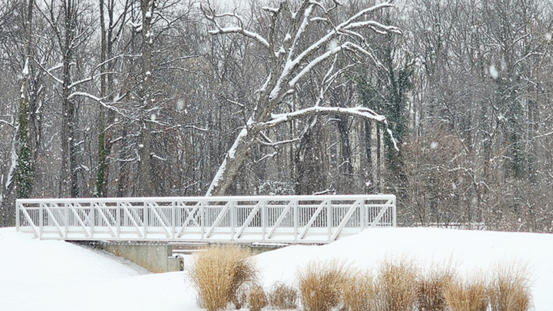 NOAA Satellites Provided Crucial Data During Recent Mid-Atlantic Winter Storm