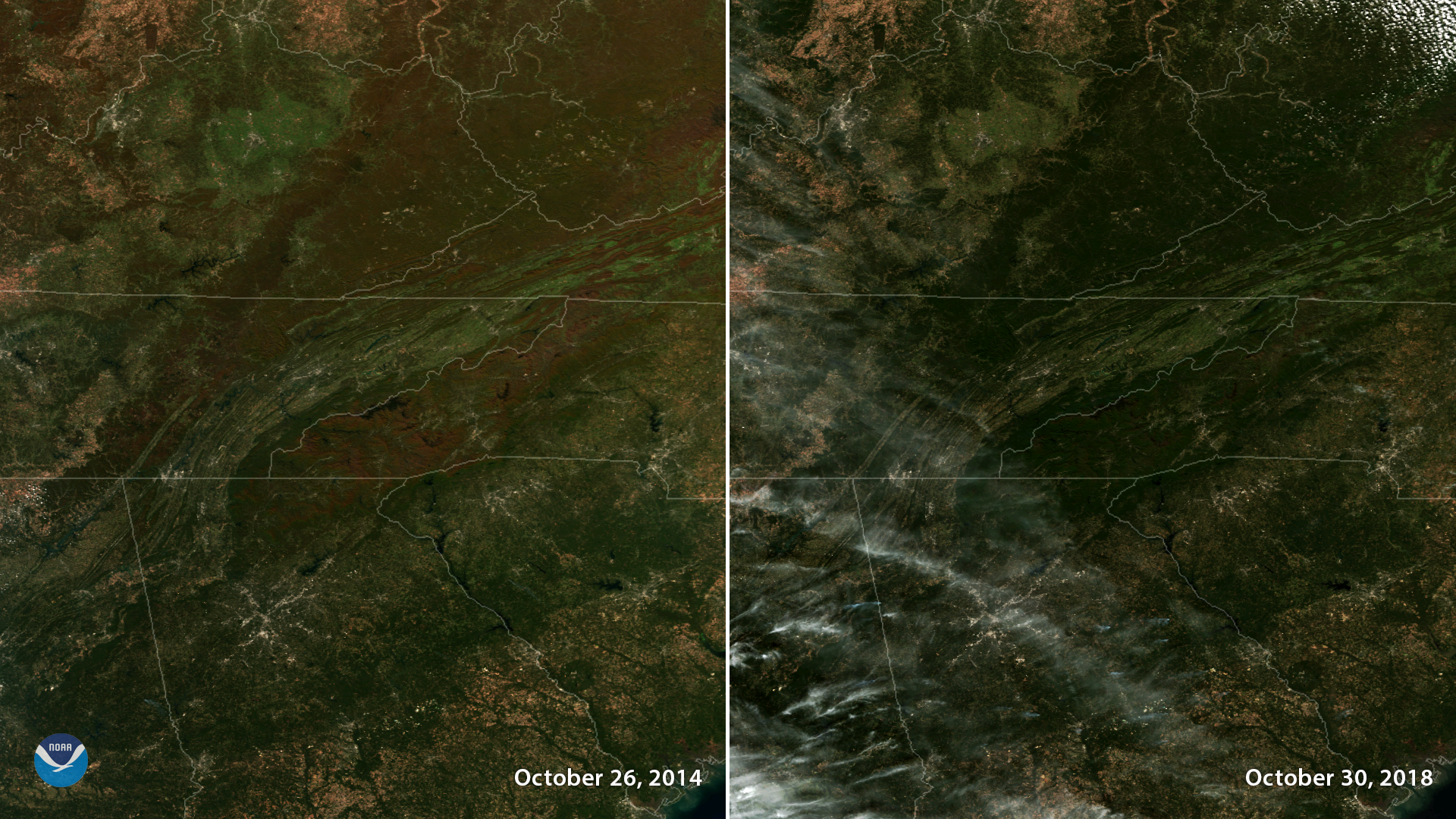 Tracking Fall Foliage from Space