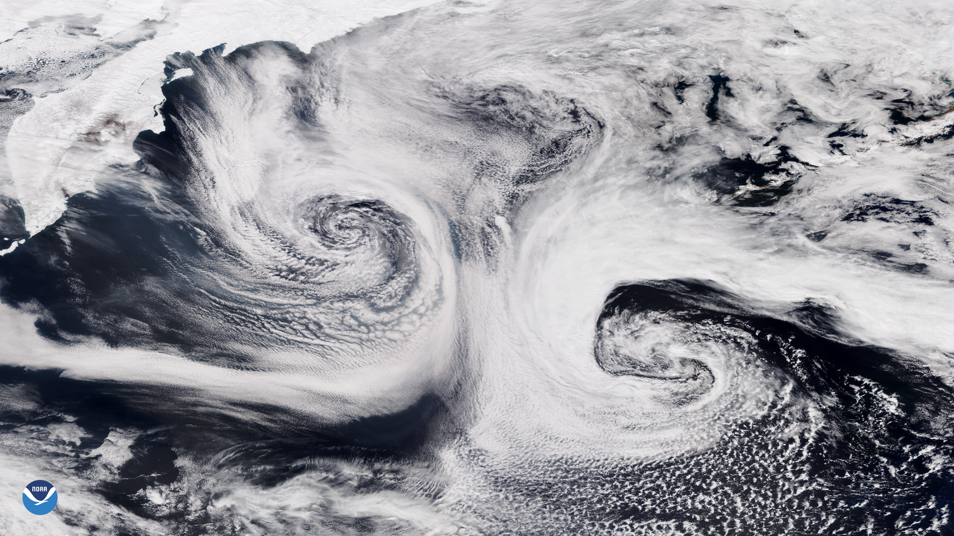 Two Cyclones Swirl in the North Pacific
