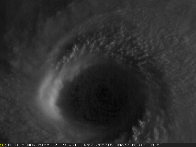 The eye of Super Typhoon Hagibis over the Pacific Ocean