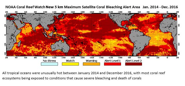 Ocean Temperatures Triggered Massive Coral Bleaching Event 2014-2017