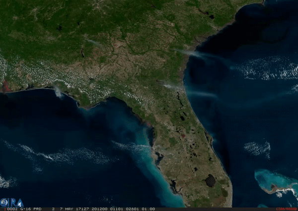 Image of fires in florida