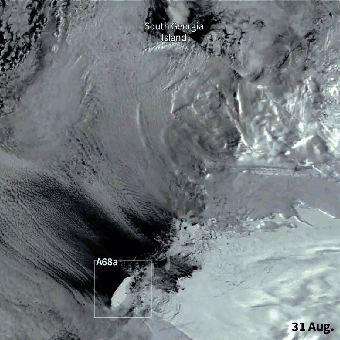 An animated GIF showing the movement of Iceberg A-68A moving toward South Georgia Island