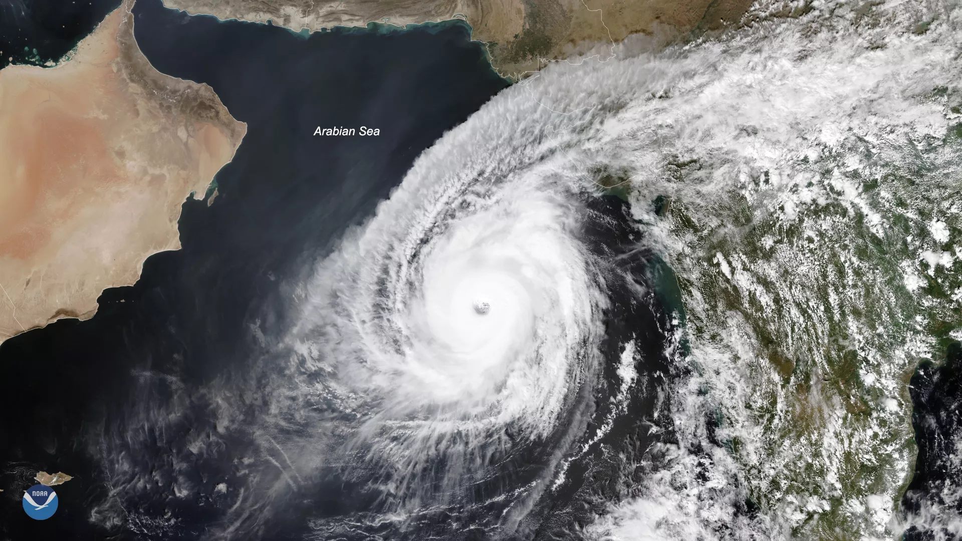 Image of a tropical on the arabian peninsula 