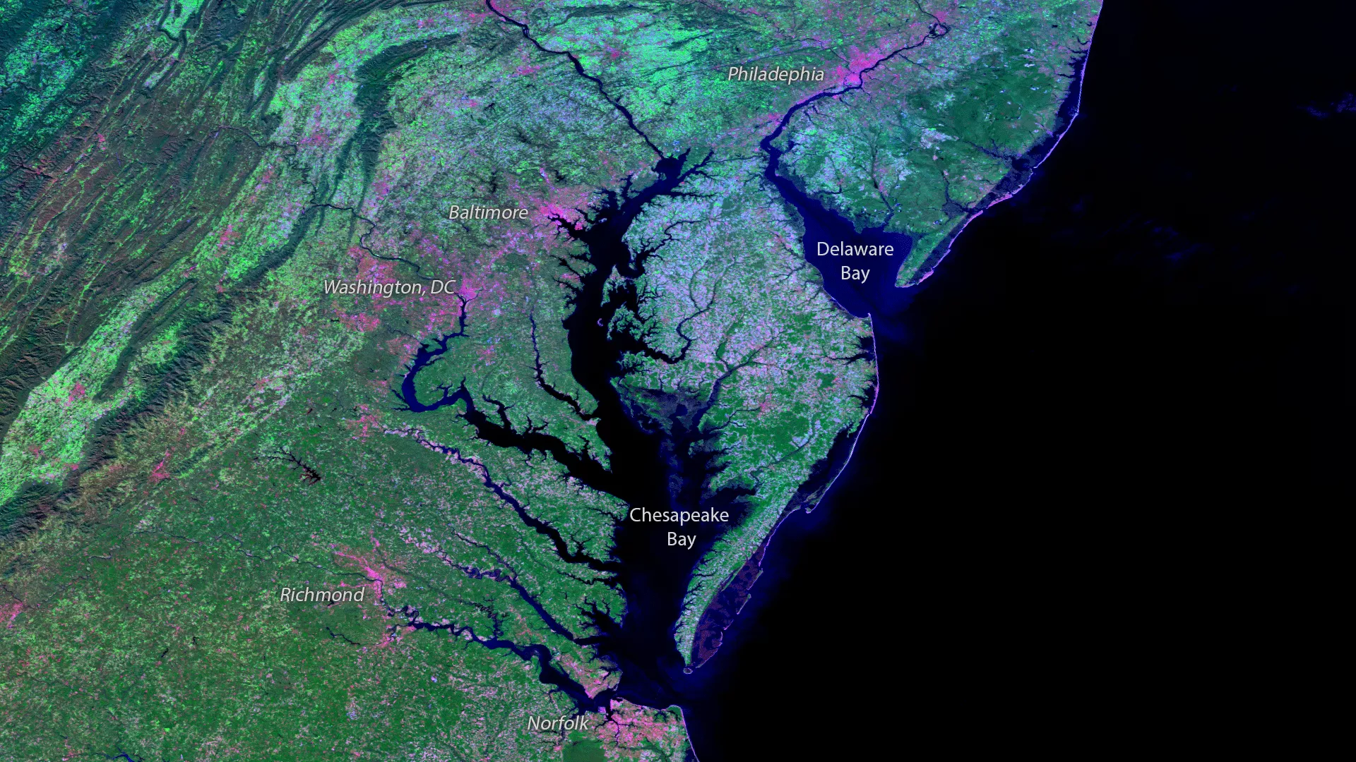 Image of The Chesapeake Bay - NOAA Monitors a Critical Habitat