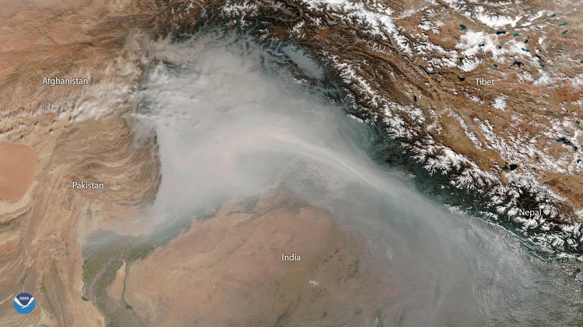 Image of Smog