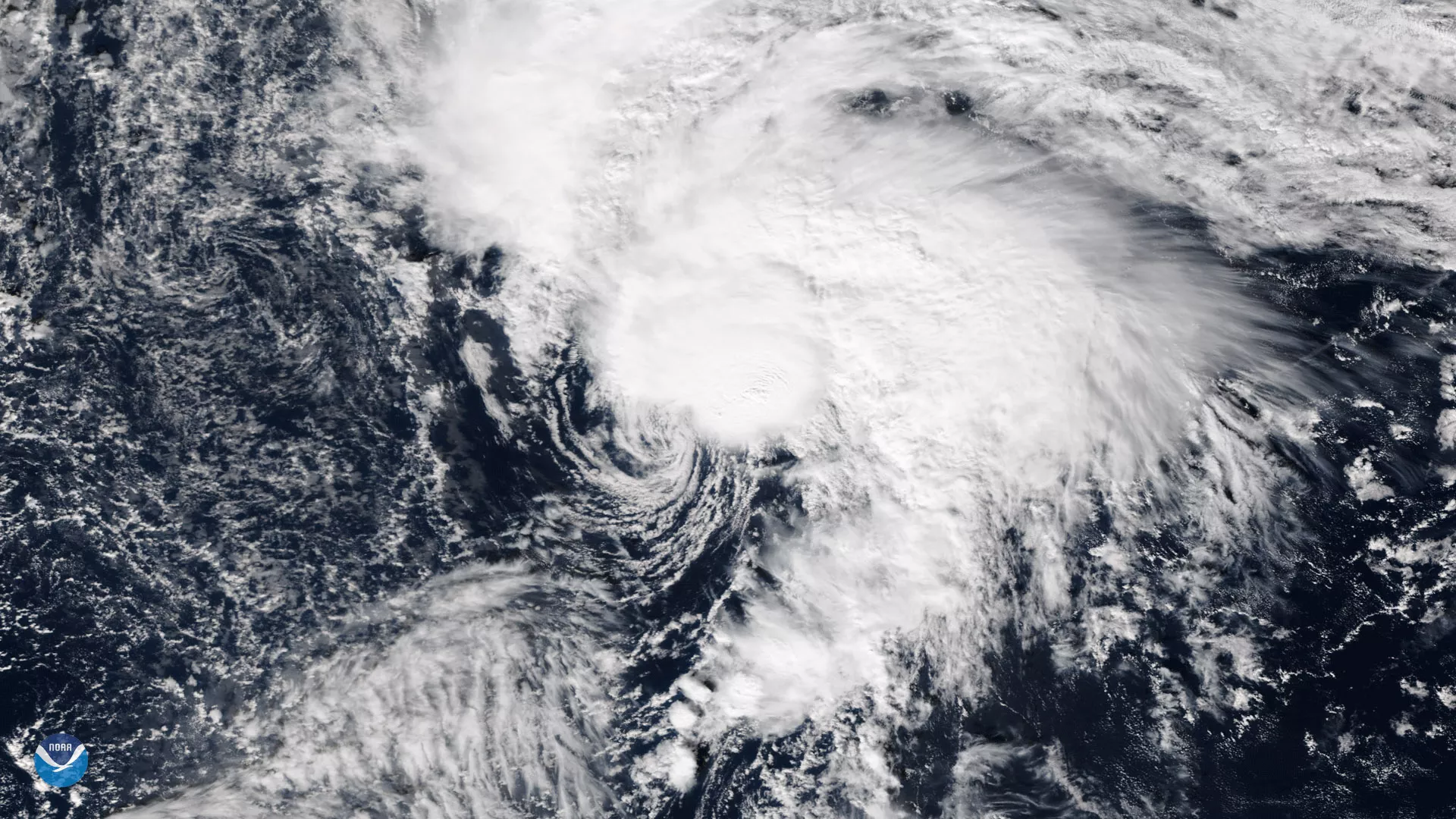 Image of Tropical Storm Rina