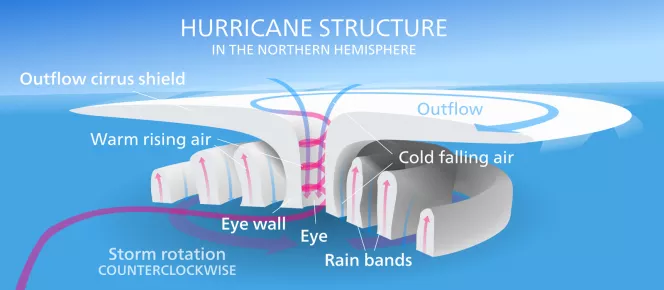Graphic image of a hurricanes structure
