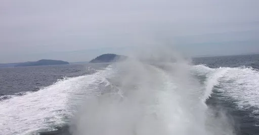 Image of the Gulf of Maine