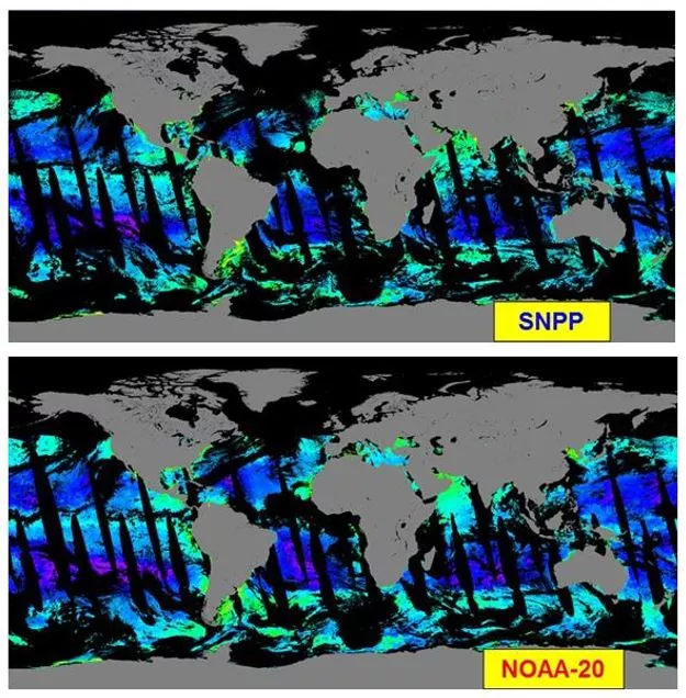 These ocean color iamges from Suomi NPP (top) and NOAA-20 (bottom) show how green pigment, which is associated with algae, is contained within the surface waters of the world's oceans. Ocean color data has been isntrumental in understanding global productivity, carbon cycling, fisheries habitats, and biochemical oceanography. In this imagery, areas of the ocean with lower amounts of surface chlorophyll are colored blue, and areas with higher concentrations are colored green to yellow.