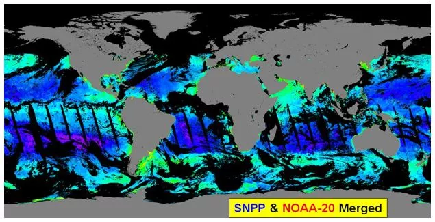 Merging data from NOAA-20 and Suomi NPP into one image provides a more complete assessment of ocean color.