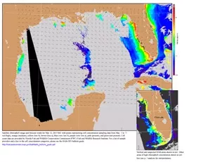 Gulf of Mexico Harmful Algal Bloom Bulletin, May 11, 2015. CREDIT: NOAA