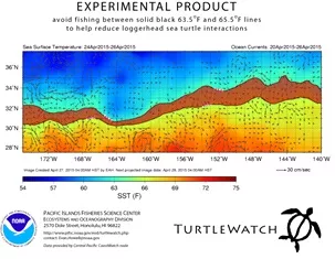 The TurtleWatch product is a composite image of remotely-sensed sea surface temperature (SST) data and derived ocean current vectors. The mapped temperature values represent averages of SST information for the most recently available 3-day period. CREDIT: Pacific Islands Fisheries Science Center, NOAA
