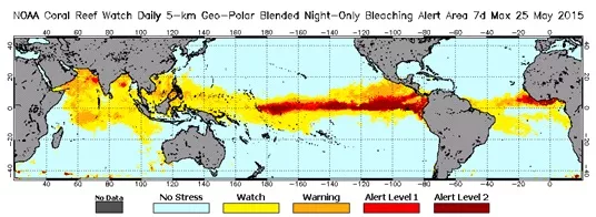 Daily 5-km Bleaching Alert Area (7-day max) product for May 25, 2015 CREDIT: NOAA Coral Reef Watch.