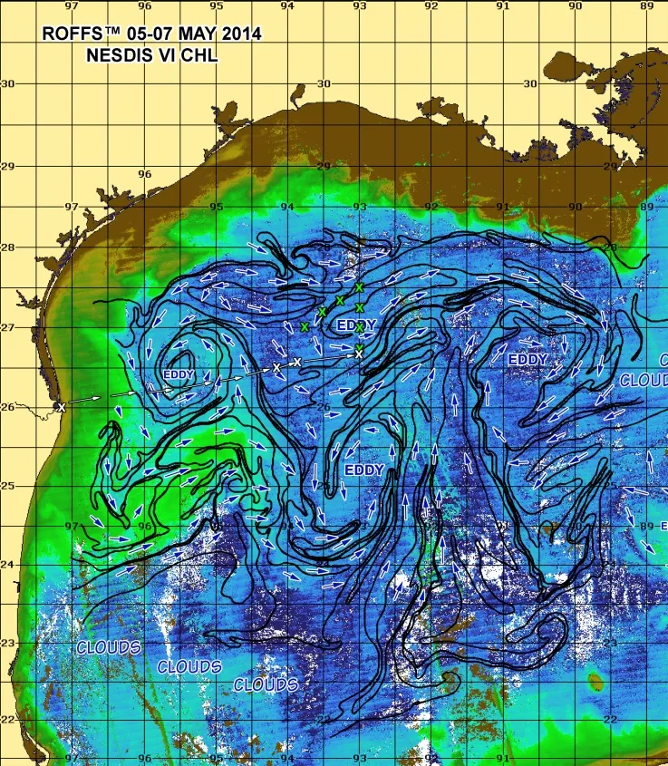 Oceanographic analyses including ocean color from Visible Infrared Imaging Radiometer Suite (VIIRS). Credit: Roffer's Ocean Fishing Forecasting Service, Inc. (ROFFSTM)