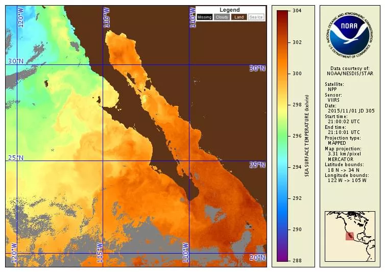 Chart showing sea surface temperature.