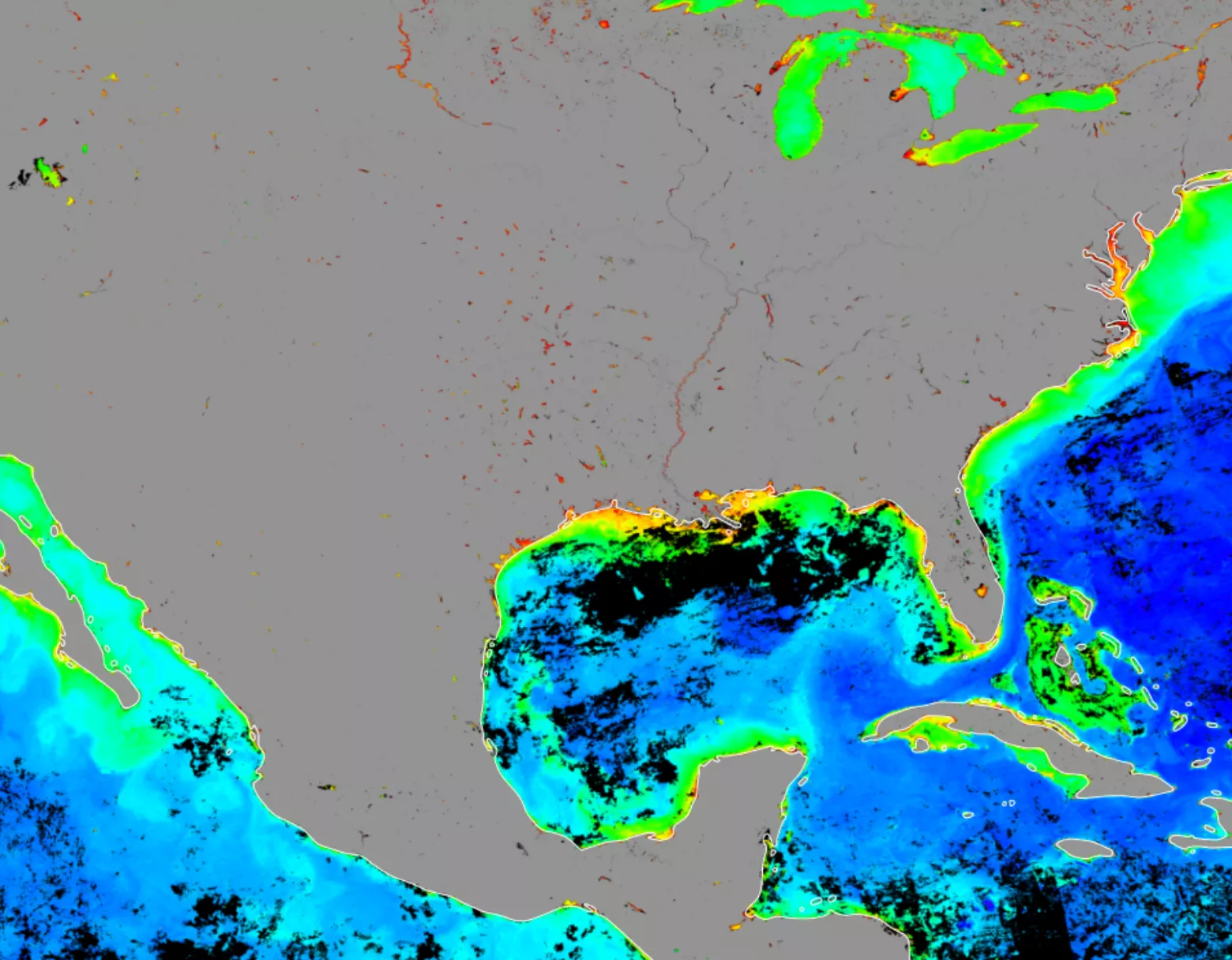 This NOAA-20 image from the VIIRS instrument shows ocean color, including chlorophyll, around the southern U.S. coastal regions in July 2019.