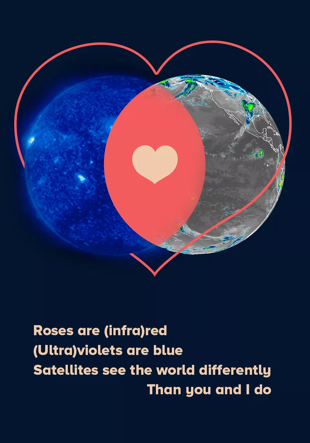 Image of a heart