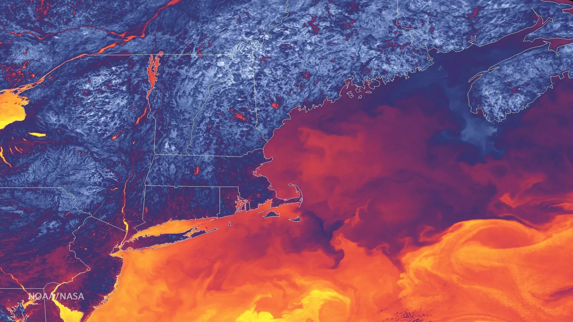 Image of the earth