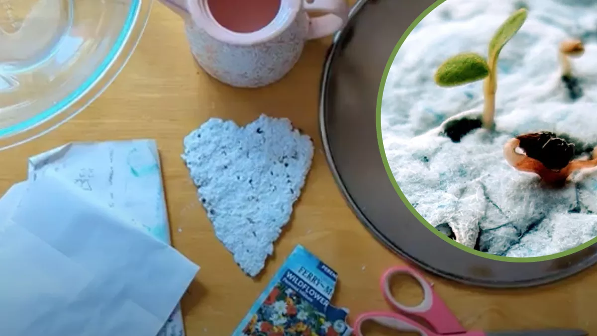 Table surface with bowl of water, paper scraps. Close-up picture of a seed sprout