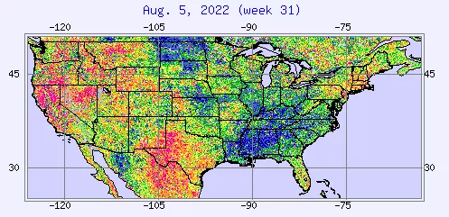 Image of a climate heat wave chart of the United States