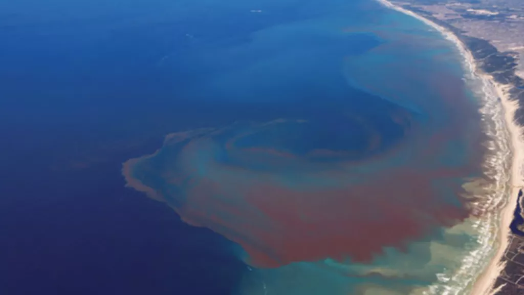 Image of the ocean with various colors