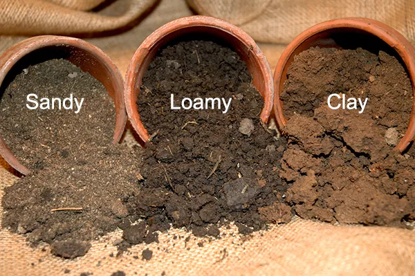 Types of soil flowing from terra cotta pots: sandy, loamy, and clay.