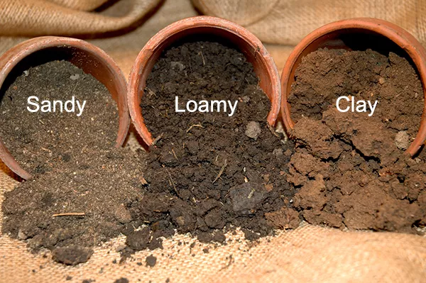 learn-about-soil-types-nesdis