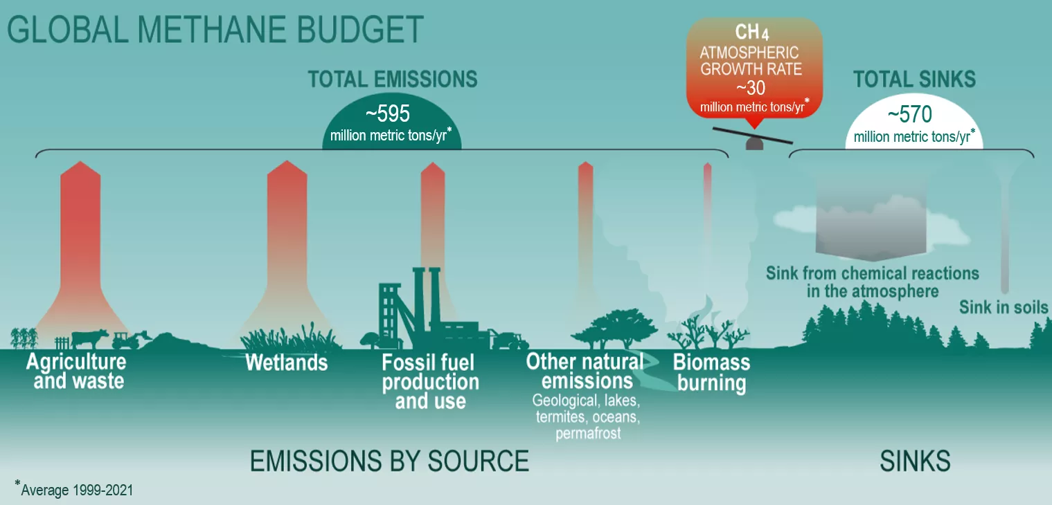 This infographic of the global methane budget shows the major sources and sinks of methane in the environment using arrows of different sizes to indicate the relative contribution a source makes to the global total. Together, total emissions from agriculture and waste, wetlands, fossil fuel production and use, other natural emissions (geological, lakes, termites, oceans, and permafrost), and biomass burning are about 595 million metric tons per year (averaged from 1999 to 2021). Total methane sinks from che