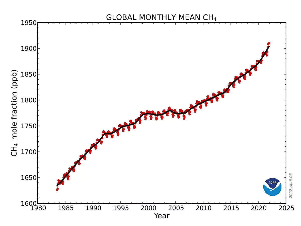 This graph shows globally-averaged, monthly mean atmospheric methane abundance determined from marine surface sites. The graph shows that methane has been steadily increasing since 1983.
