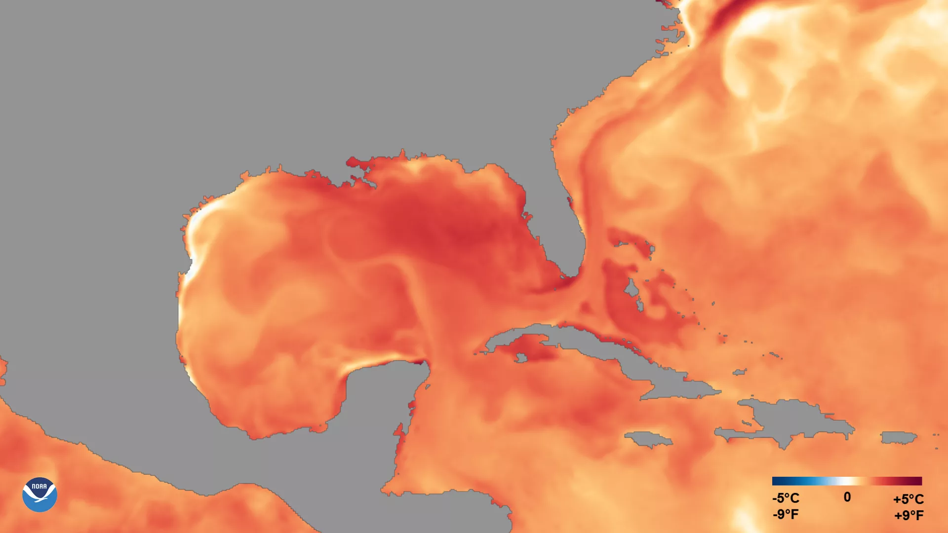 Image of the carribean