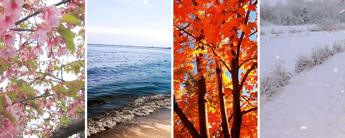 Seasons