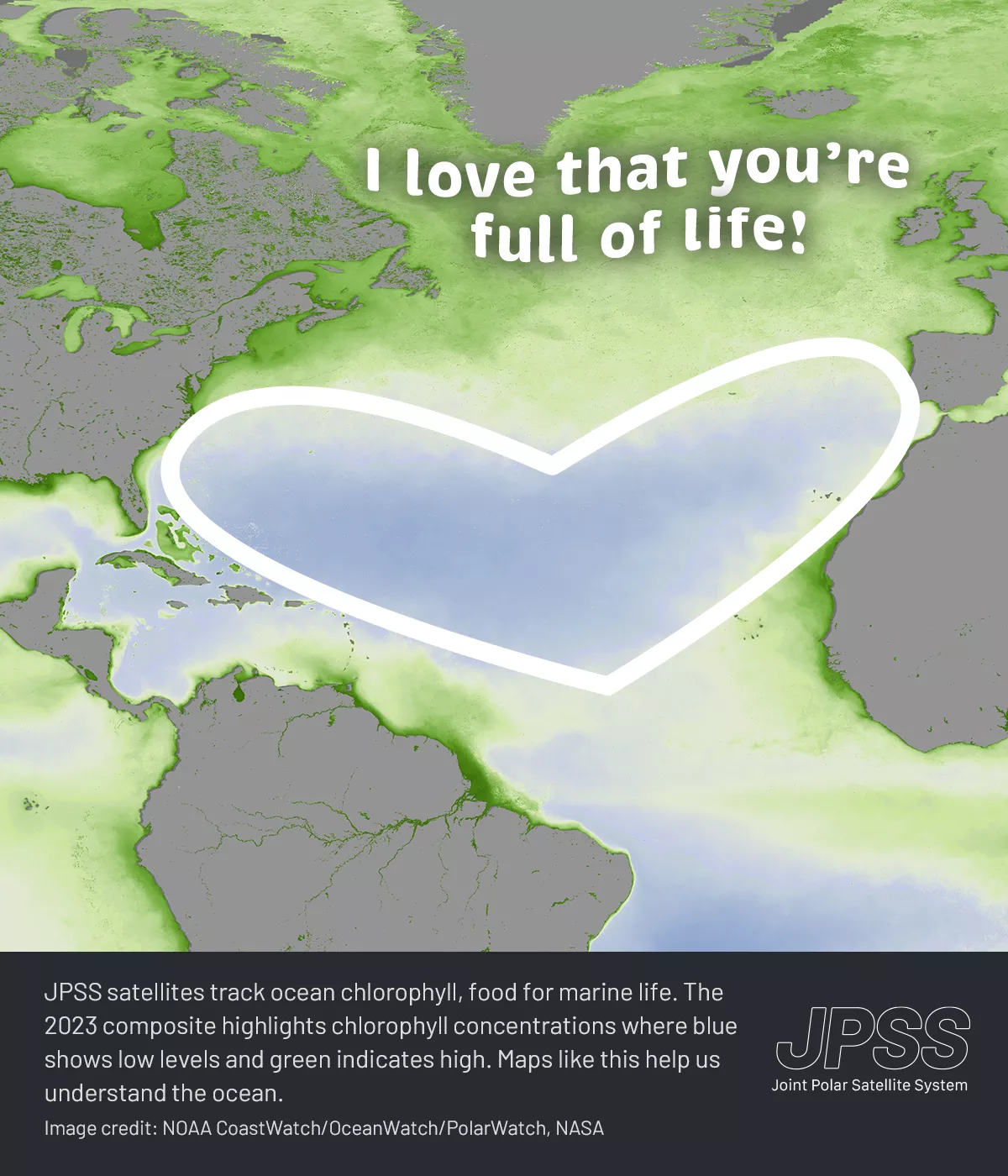 A Valentine's Day card displaying a satellite composite image from 2023, with data provided by the Joint Polar Satellite System (JPSS). The image illustrates ocean chlorophyll concentration, with various shades of green showing high levels and patches of blue signifying lower levels. A prominent white heart outline is layered on top of the image, complemented by the message “I love that you're full of life!” written above. The card includes a caption that reads, “JPSS satellites track ocean chlorophyll, foo