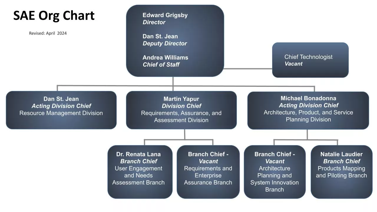 This is an organizational chart for SAE made up of nine boxes with individuals names in them.