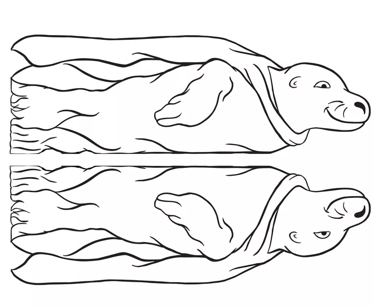 Windsock template with line illustration of a seal with a cape.
