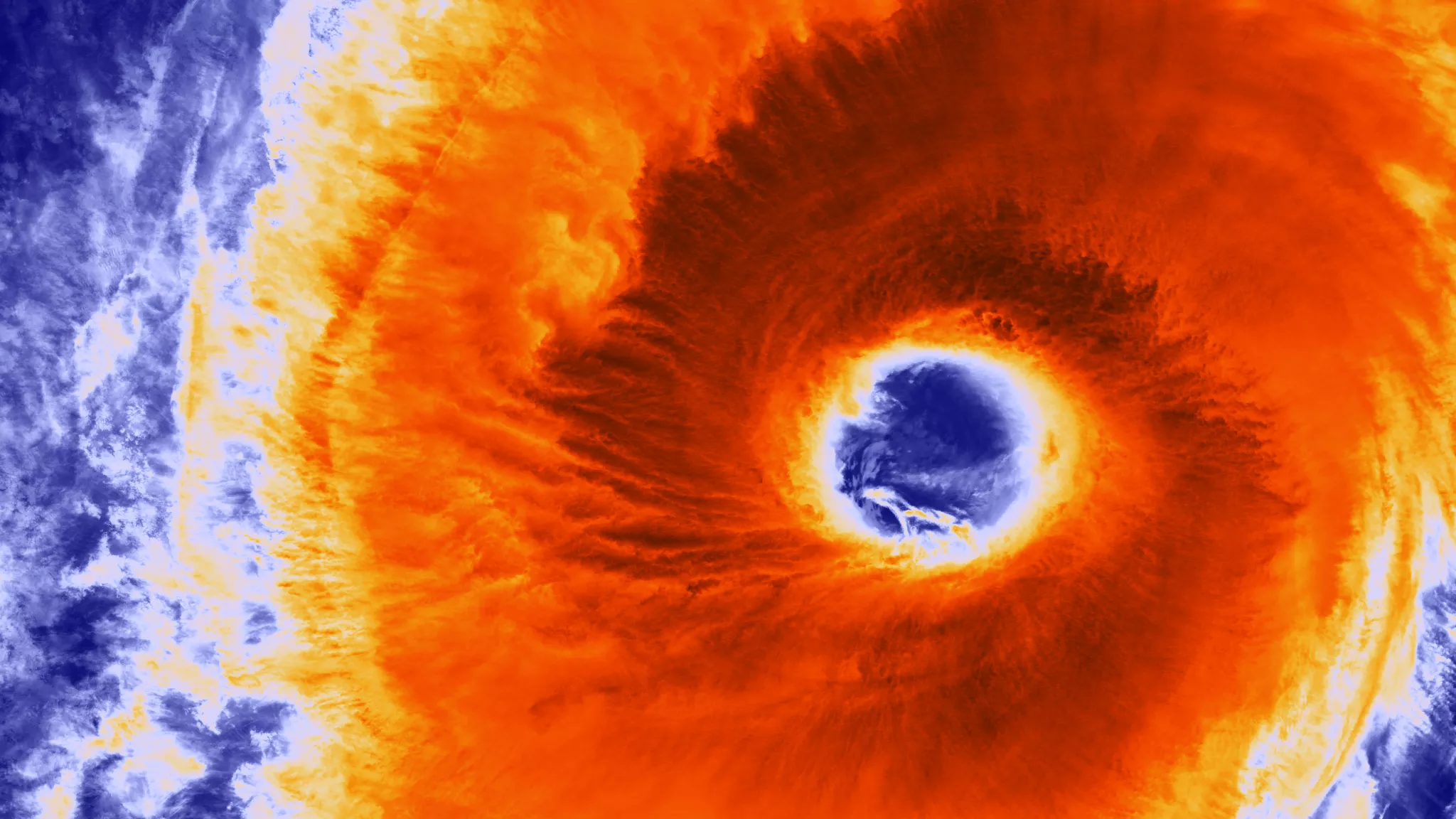 Image of Typhoon Champi