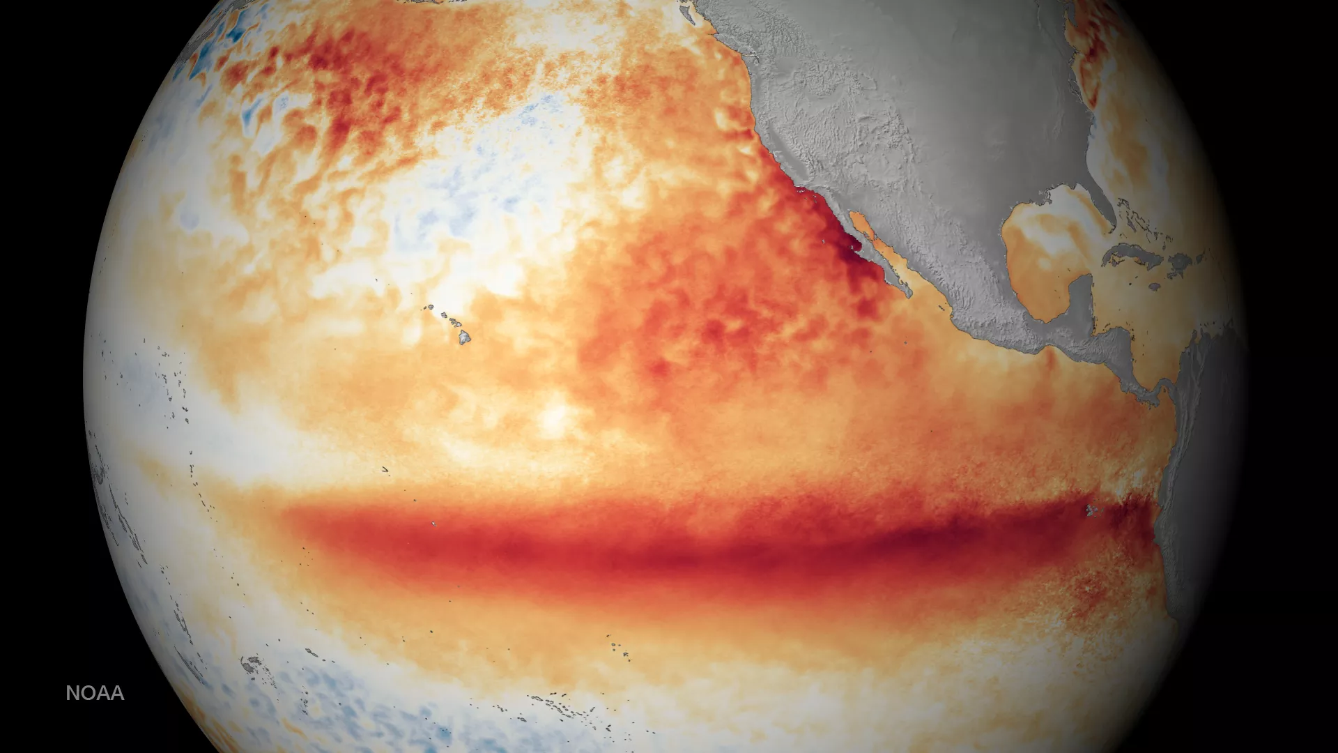 Image of sea surface temperature for El Nino