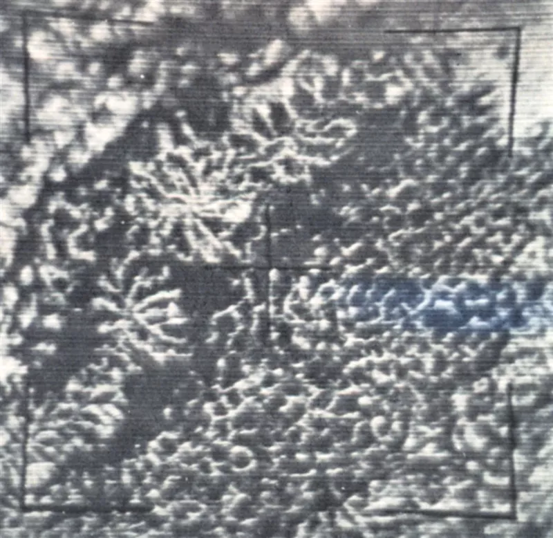 TIROS view of actinoform clouds in 1961