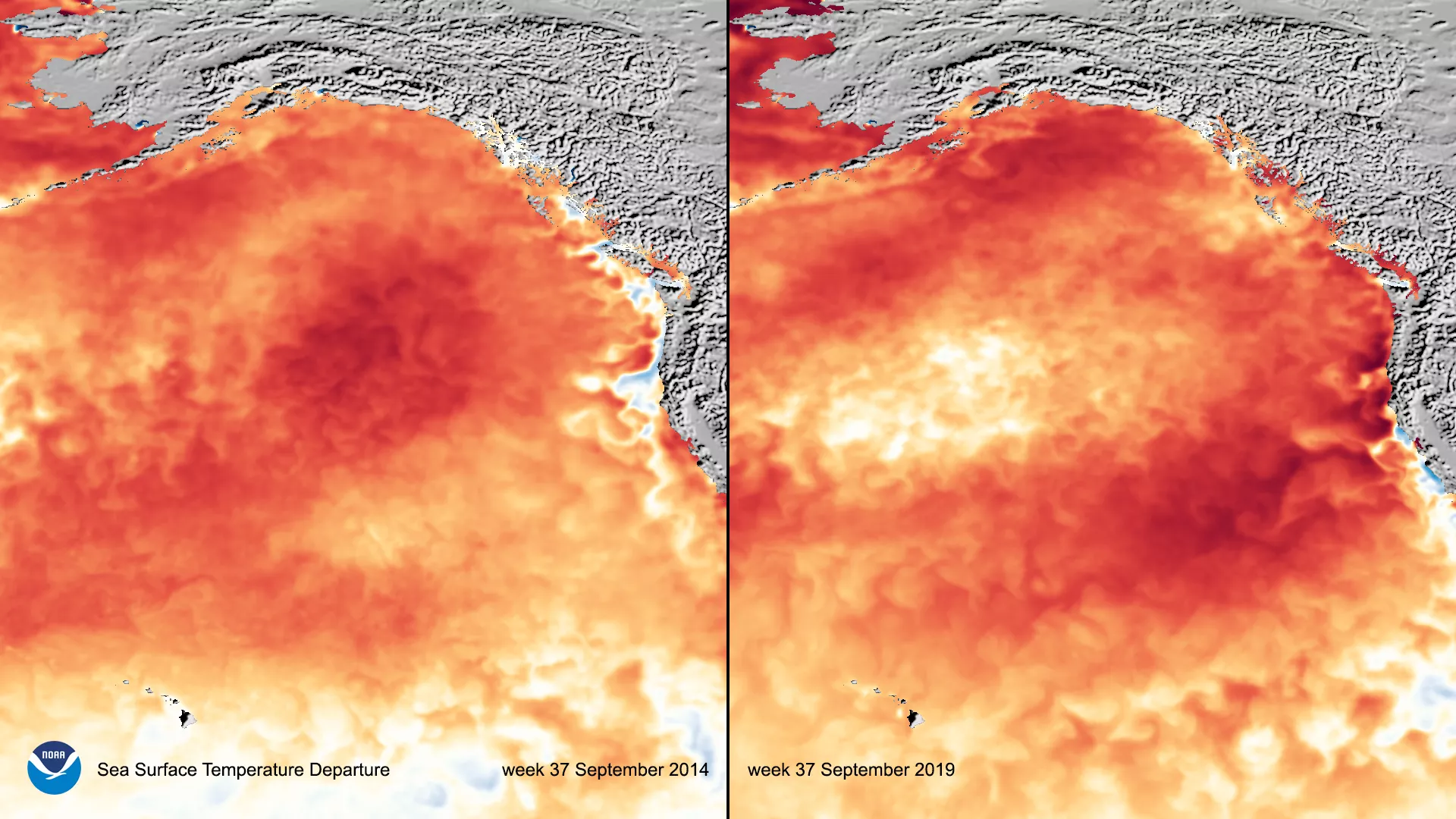 Image of a heatmap