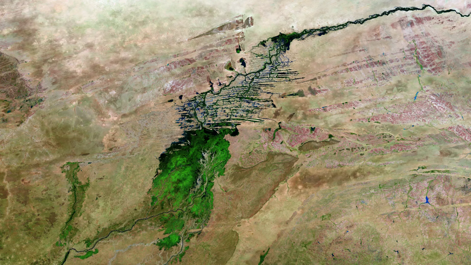 Image of the Sahara