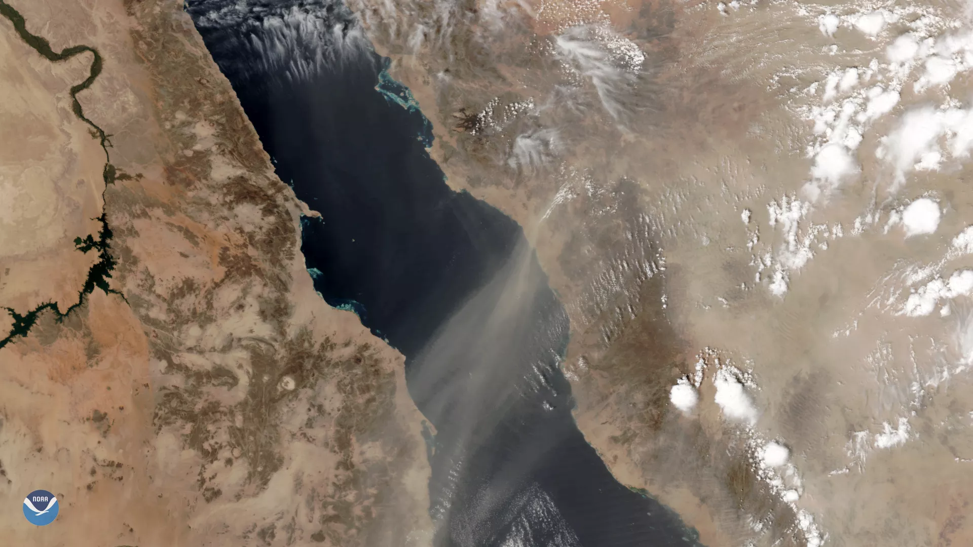 Image of dust over the red sea