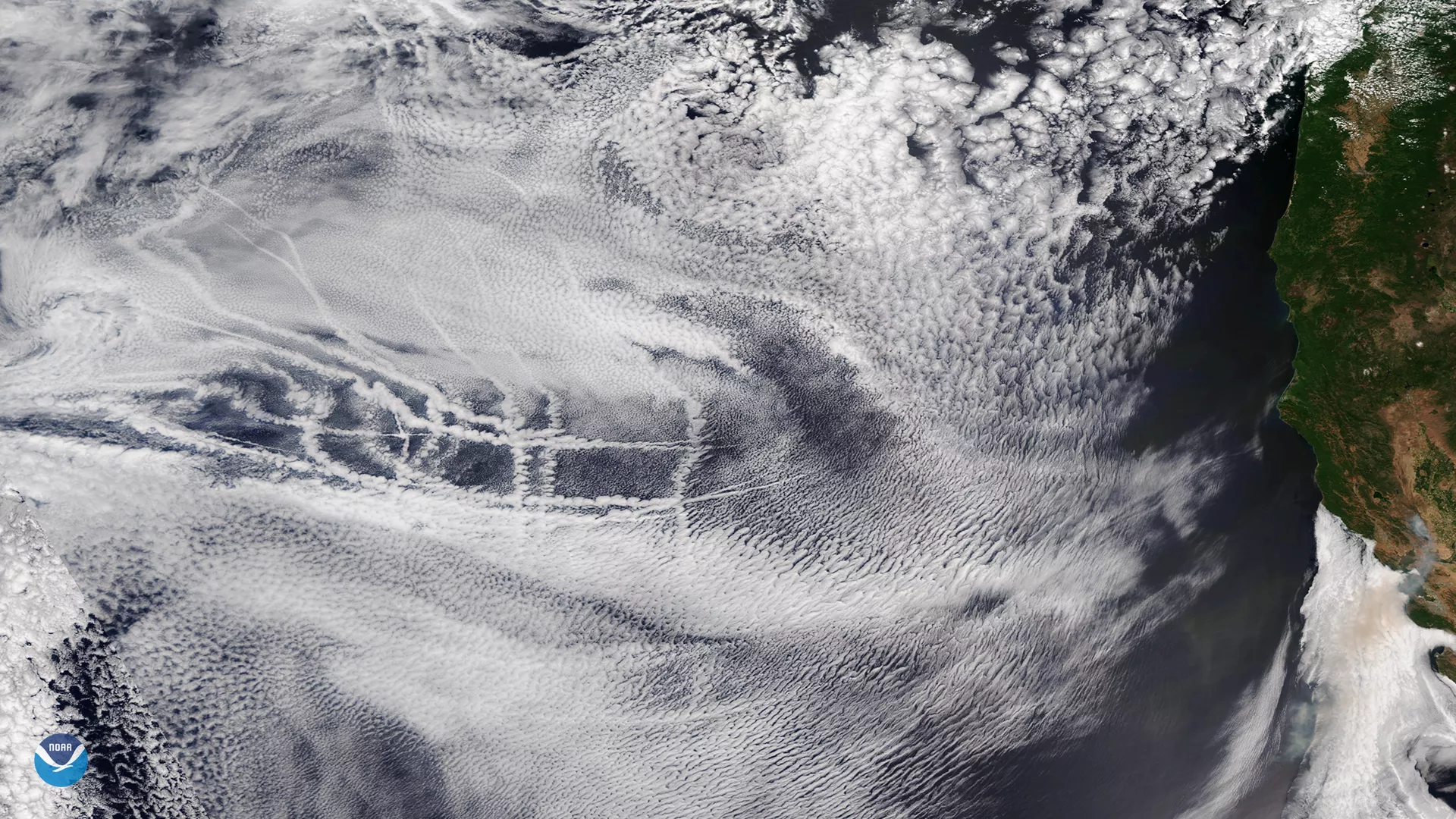 As cargo ships steam across the oceans, the tiny aerosol particles in their exhaust act as cloud nuclei, or seeds around which moisture in the atmosphere can condense