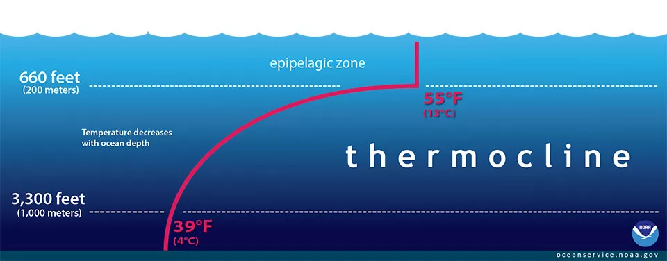 Illustration of thermocline