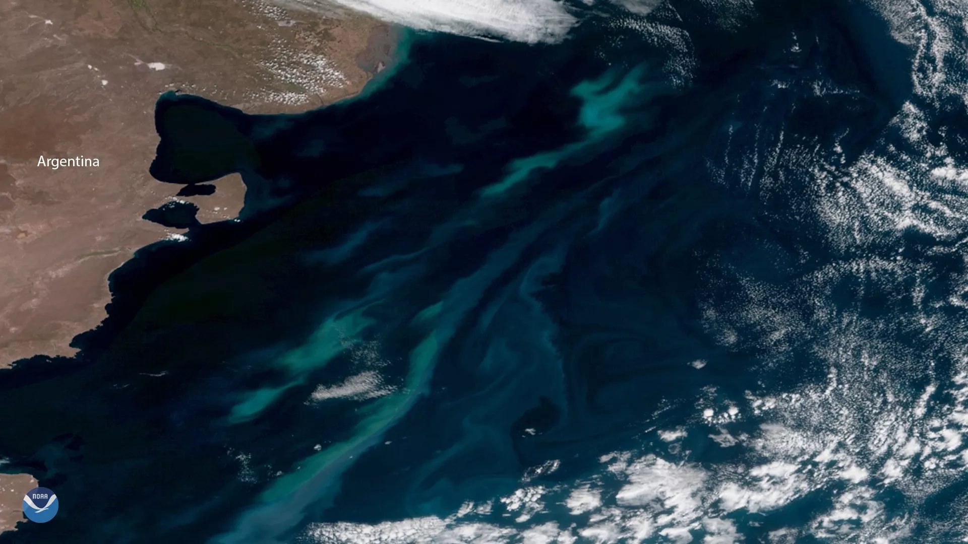 GOES East imagery of Argentinian coastline and phytoplankton bloom in turquoise green against the deeper blue of the Atlantic Ocean, taken in Jan. 2018 via GeoColor. 